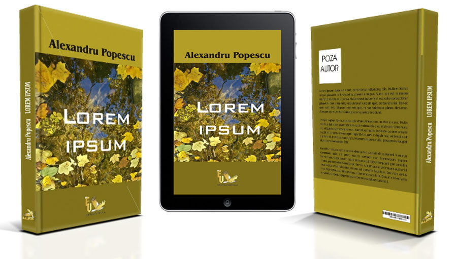 Editura Virtuala Layout 3